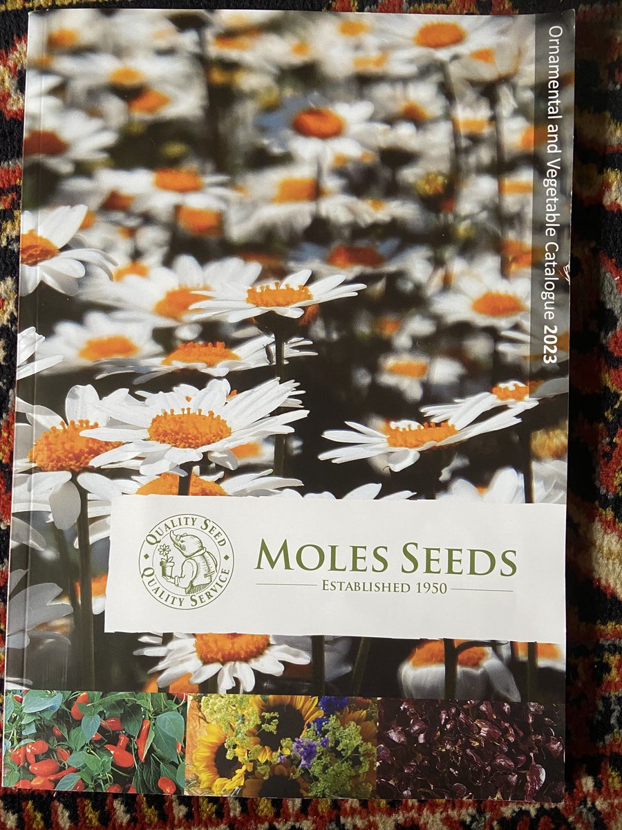 Hammering down outside- time to plan and dream.