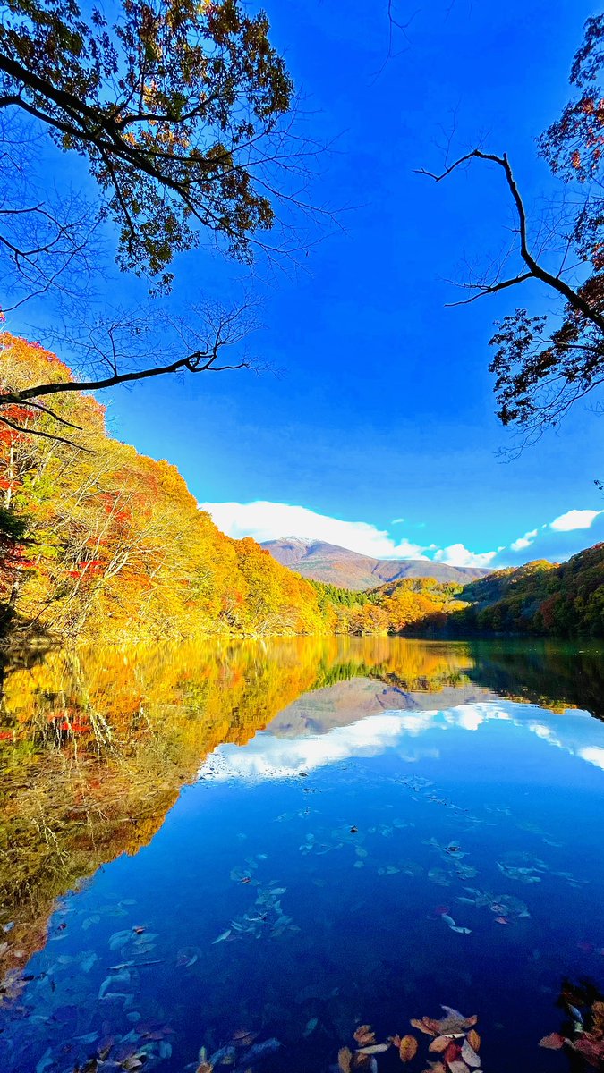kotodamaya2020's tweet photo. 🍁紅葉狩り🍁

宮城県七ヶ宿 「長老湖」

#秋
#紅葉
#絶景
#長老湖 
#宮城県
#七ヶ宿
#紅葉2022 https://t.co/GrxtAr6njV