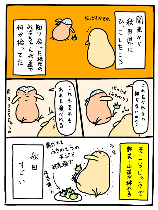 秋田の地元のおばちゃんがやってた料理 