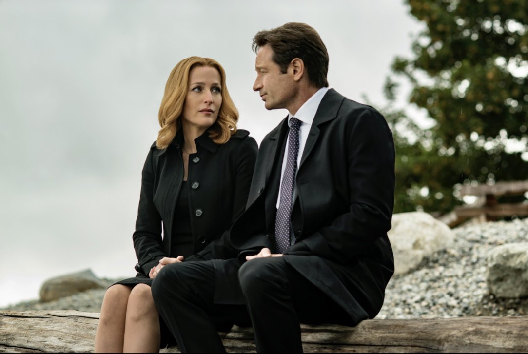 OhGollyGillian's tweet photo. @FilmstoFilms_ Iβm actually #Rewatching The X-Files season 10 and it is so damn fine! 6 delicious episodes delivered by two insaley talented and lovable lead actors #GillianAnderson & #DavidDuchovny to tickle the fandom once again π€© #TXF #TXFiles #IWantToBelieve #TheTruthIsStillOutThere https://t.co/DJ0ulTAOXZ