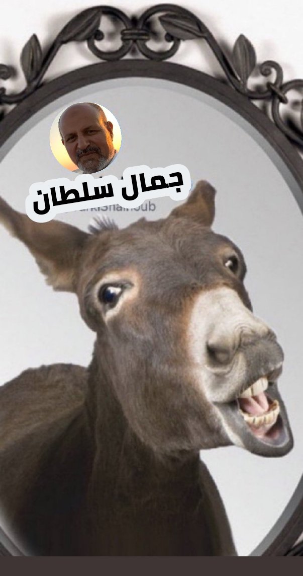 Slamavedue's tweet photo. @GamalSultan1 https://t.co/7l30j7o562