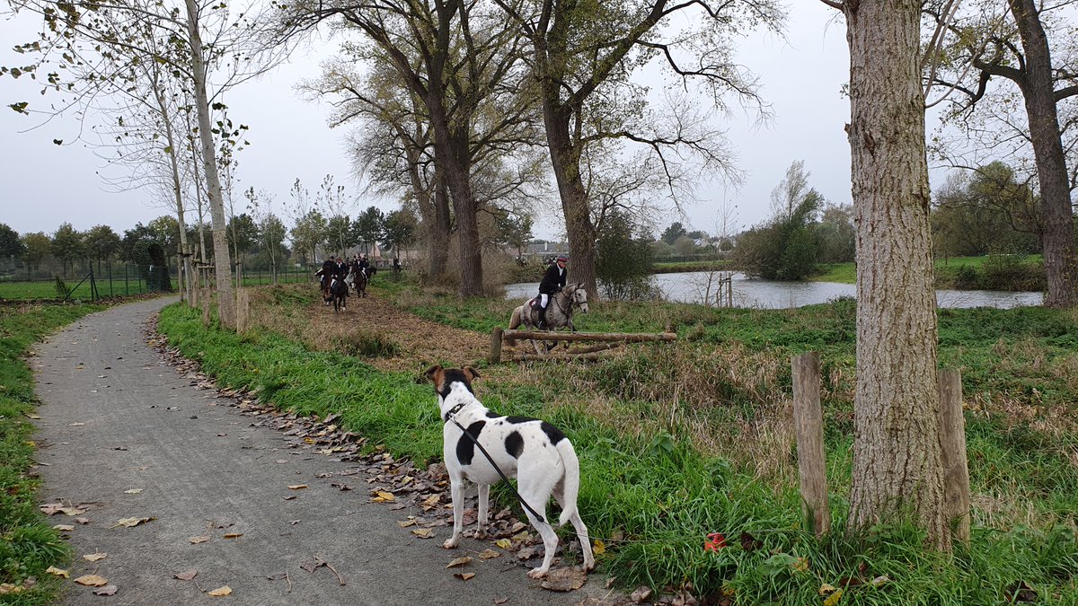 CarolineHoorde's tweet photo. #vrtweer #Deinze 12u27 De Sint-Hubertusviering van Deinze langs de #maaigemdijk (foto Marc Maenhout) https://t.co/N8AuD2kiiw