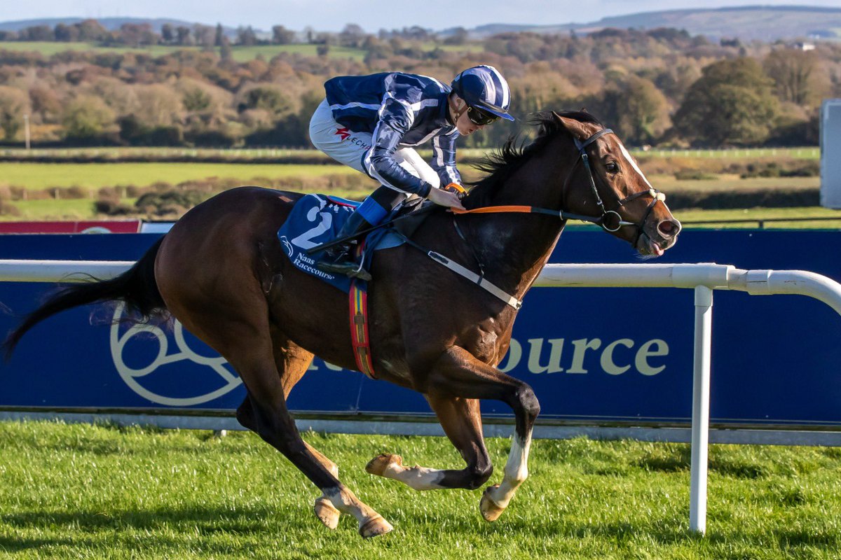 NaasRacecourse's tweet photo. 💥 𝐂𝐚𝐯𝐚𝐥𝐥𝐨 𝐏𝐚𝐳𝐳𝐨 💥
Takes home the winning in our first race
The Sobac Healthy Soil https://t.co/EGgH4r7eWD Maiden under @DylanBrowneMcM for trainer Eoin Doyle for the Two Plus Two Syndicate
Congratulations to all involved 👏🏻🥇
#flatfinale https://t.co/vxRFpMgWT4