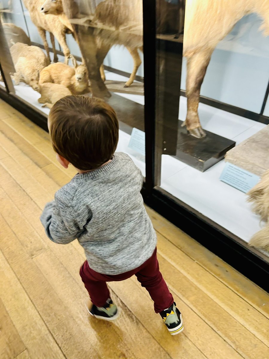 KirstyLiddiard1's tweet photo. Thank you @NHM_Tring - we had a lovely day! #FreeFamilyActivity https://t.co/nXAJFOpjd2