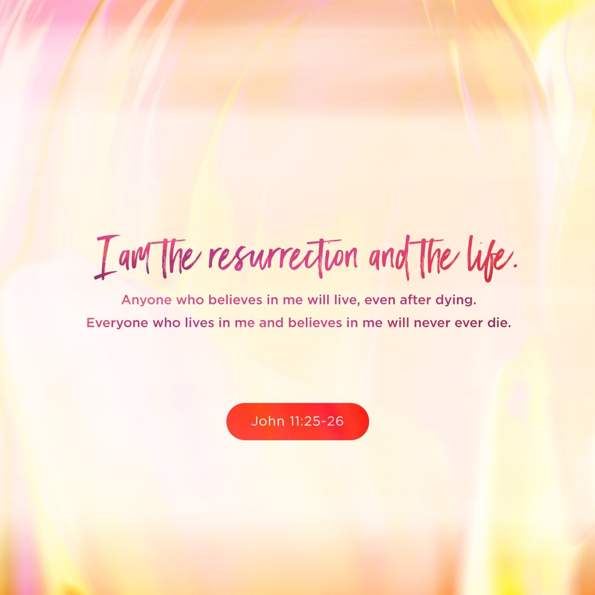 DBVfeed's tweet photo. Jesus told her, “I am the resurrection and the life. Anyone who believes in me will live, even after dying. Everyone who lives in me and believes in me will never ever die.”-John 11:25-26 l https://t.co/vwaMnMdgrf