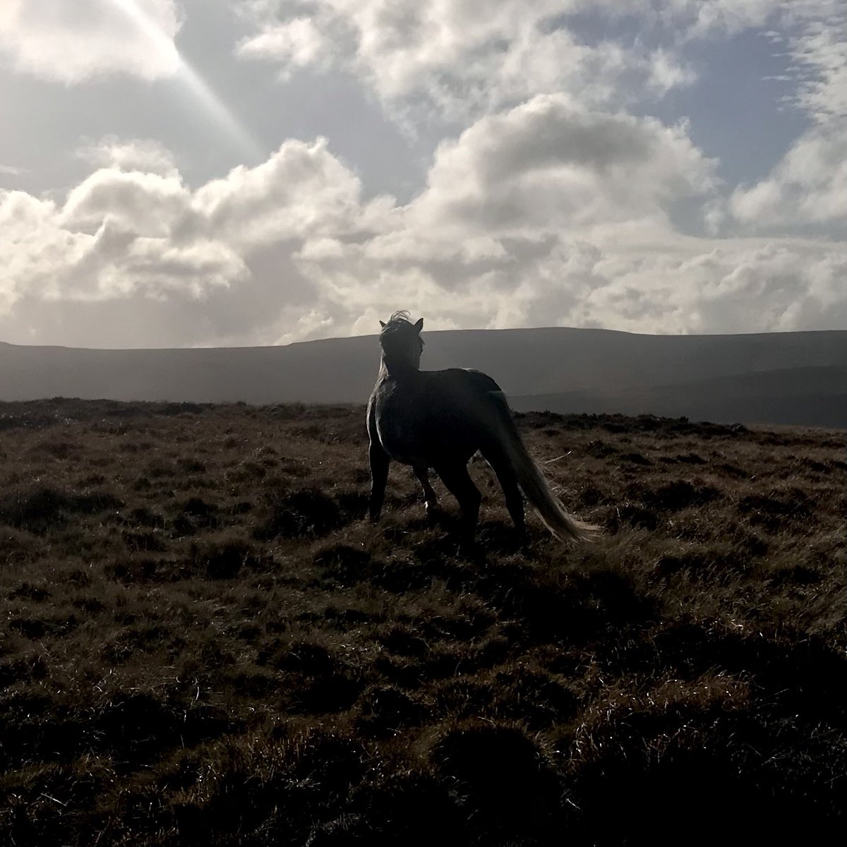 Kit Grill tweet media