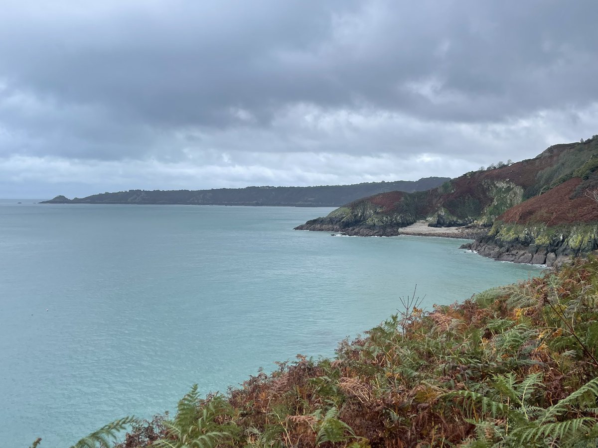 jasonantonyking's tweet photo. Nice way to spend Sunday morning #walking #labrador #cliffpath #mud #rain https://t.co/FOAe7r8ffW