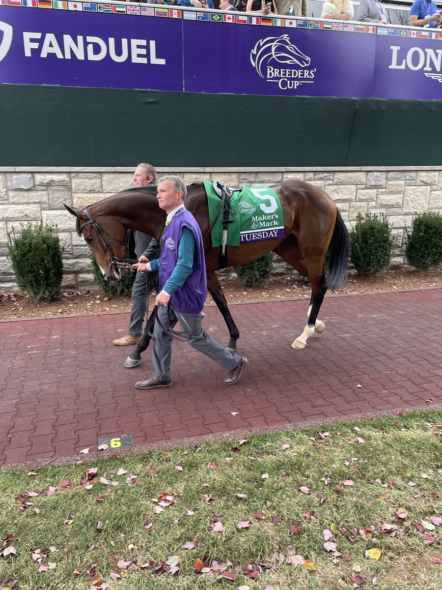 damon_thayer's tweet photo. Here’s Toy &amp; Tuesday w @waynemlordan &amp; Ryan Moore before the @BreedersCup Filly &amp; Mare Turf. Aidan gave Ryan some last-minute input in the parade ring. https://t.co/D7x9dsUs6a