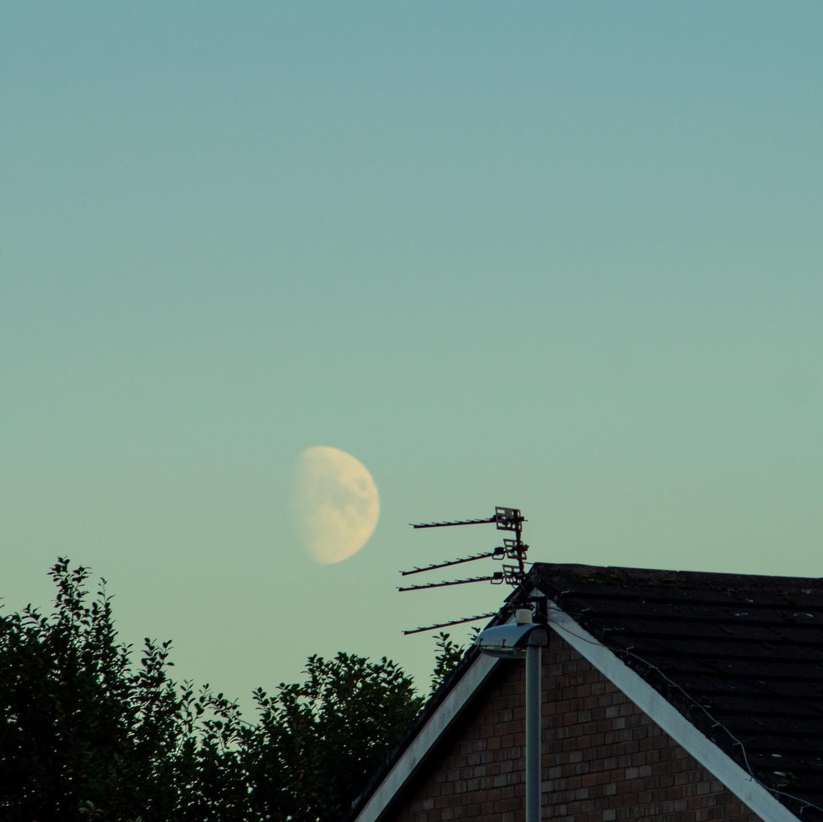 irvingphotog's tweet photo. Moon time. #moon #moonlight #amazing #beautiful #beauty #Camera #shapshot #clouds #happy #landscape #landscapephotography #life #love #moment #nature #naturelovers #NaturePhotography #photo #photogallery #photographer #photography #photooftheday #PictureOfTheDay #picture # https://t.co/BOY5On2wi2