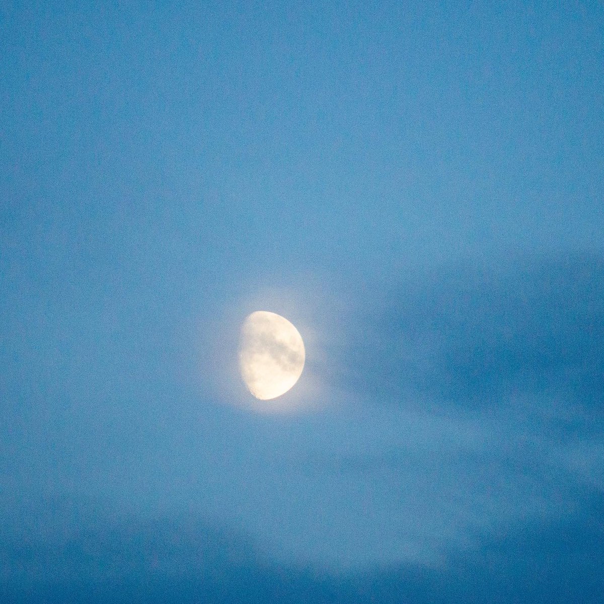 irvingphotog's tweet photo. Moon time. #moon #moonlight #amazing #beautiful #beauty #Camera #shapshot #clouds #happy #landscape #landscapephotography #life #love #moment #nature #naturelovers #NaturePhotography #photo #photogallery #photographer #photography #photooftheday #PictureOfTheDay #picture # https://t.co/BOY5On2wi2