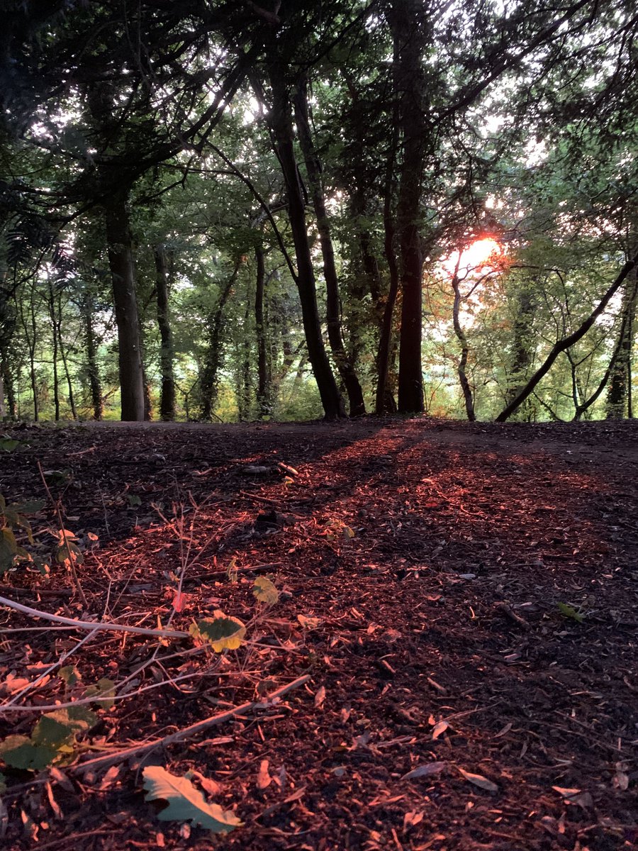 Who else has days where the heartbreak is everywhere and you cry for it all?  Today is my day. 
 On here a father's loss so raw he cant breathe and 
then the beauty of strangers, who tweet back "we are breathing for you while you can’t".  
 We need each other. Lets save our world