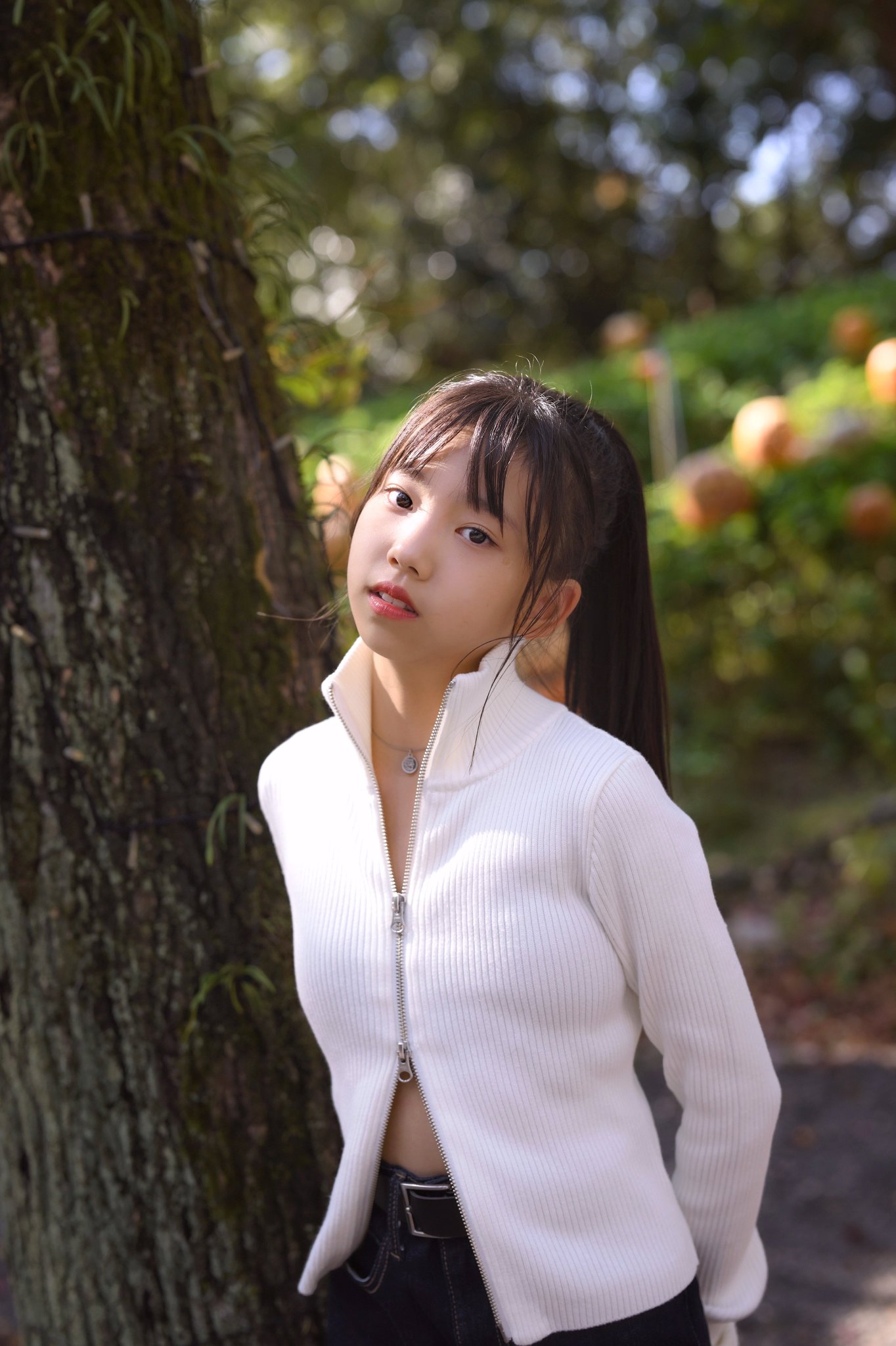 超希少❗️美白❗️ジャガランダ　斑入り✨ Fg4bmWracAETOf9.jpg:large