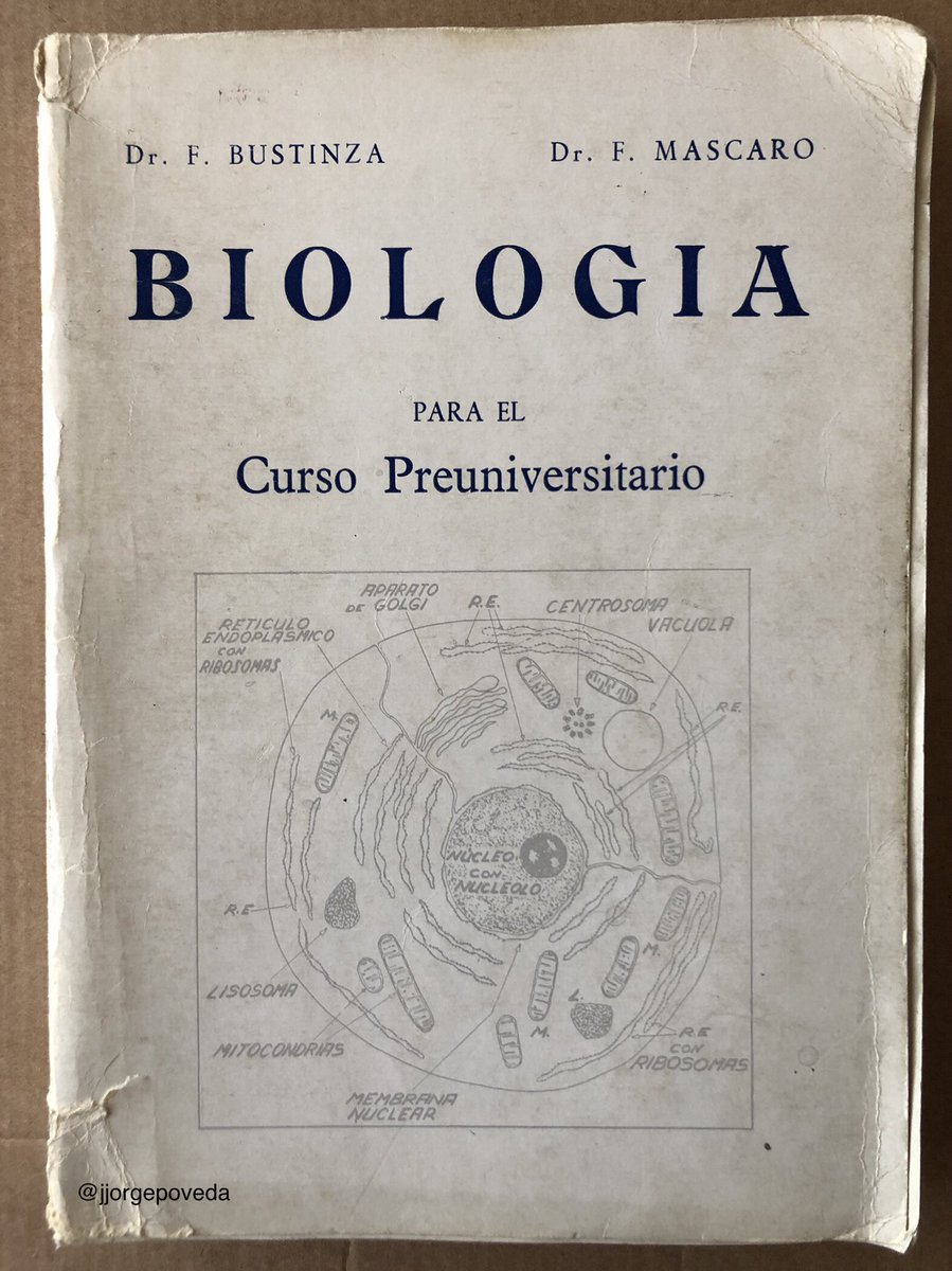 jjorgepoveda's tweet image. #FelizDomingo #RastroDeMadrid @cgfminion @manuca7 #PREU @rafa_casti73 @farmandarina @isajurjo