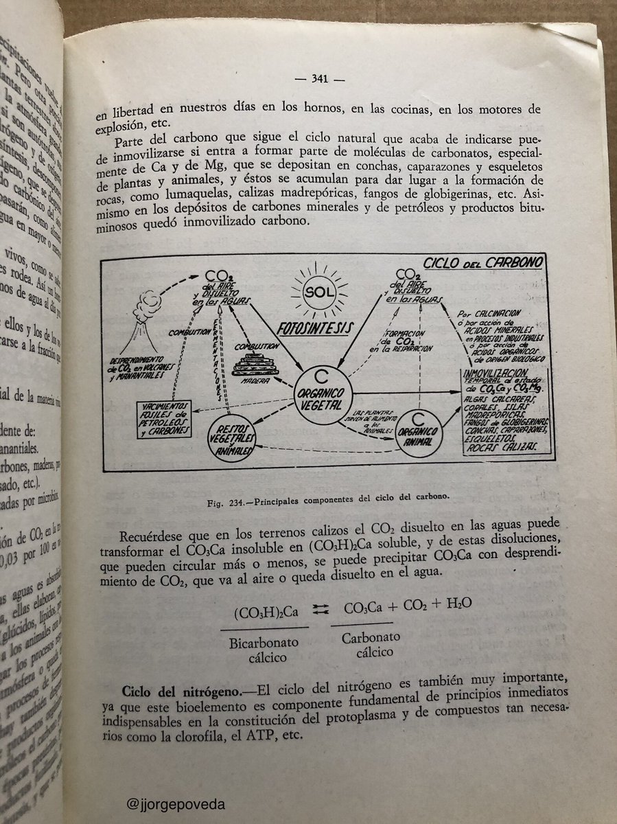 jjorgepoveda's tweet image. #FelizDomingo #RastroDeMadrid @cgfminion @manuca7 #PREU @rafa_casti73 @farmandarina @isajurjo