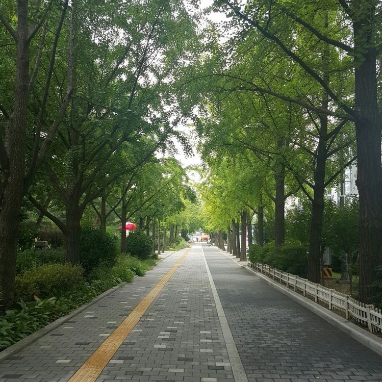 went on a little walk by myself 🫡