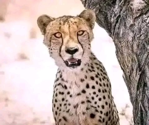 Short Story😢😢😂😂😂🤣😂