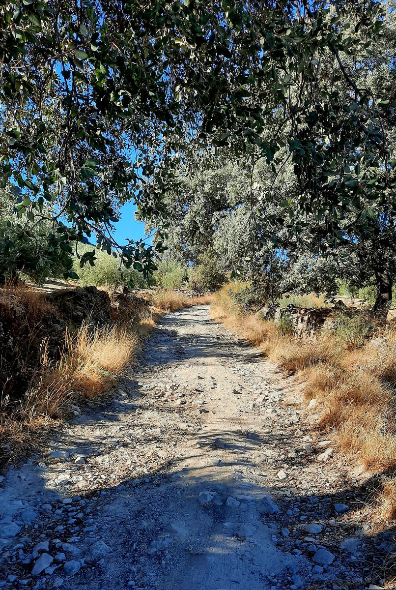 RCamachoLp's tweet photo. Hoy coincidiendo con parte del recorrido de la 7ª edición de la Maratón MTB de la Subbética, me he adelantado a su paso practicando #plogging, este es el resultado de #Basuraleza recogida.
@turismodepriego
@dipucordoba 
@Subbetica 
#SerParteDeLaSolución https://t.co/U760rTbiDf