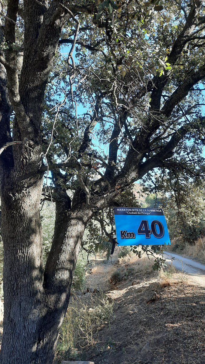RCamachoLp's tweet photo. @FACiclismo @dipucordoba @DeporteAND Hoy coincidiendo con parte del recorrido de la 7ª edición de la Maratón MTB de la Subbética, me he adelantado a su paso practicando #plogging, este es el resultado de #Basuraleza recogida. https://t.co/CnzVVia1v5