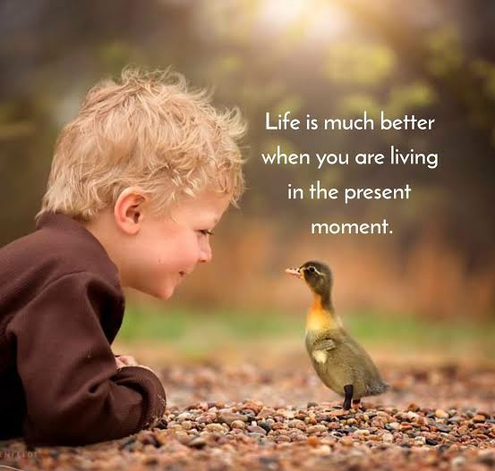 QuoteILoveU's tweet photo. Life is much better when you are living in the present moment. 💕 https://t.co/UbE2BUNMR9