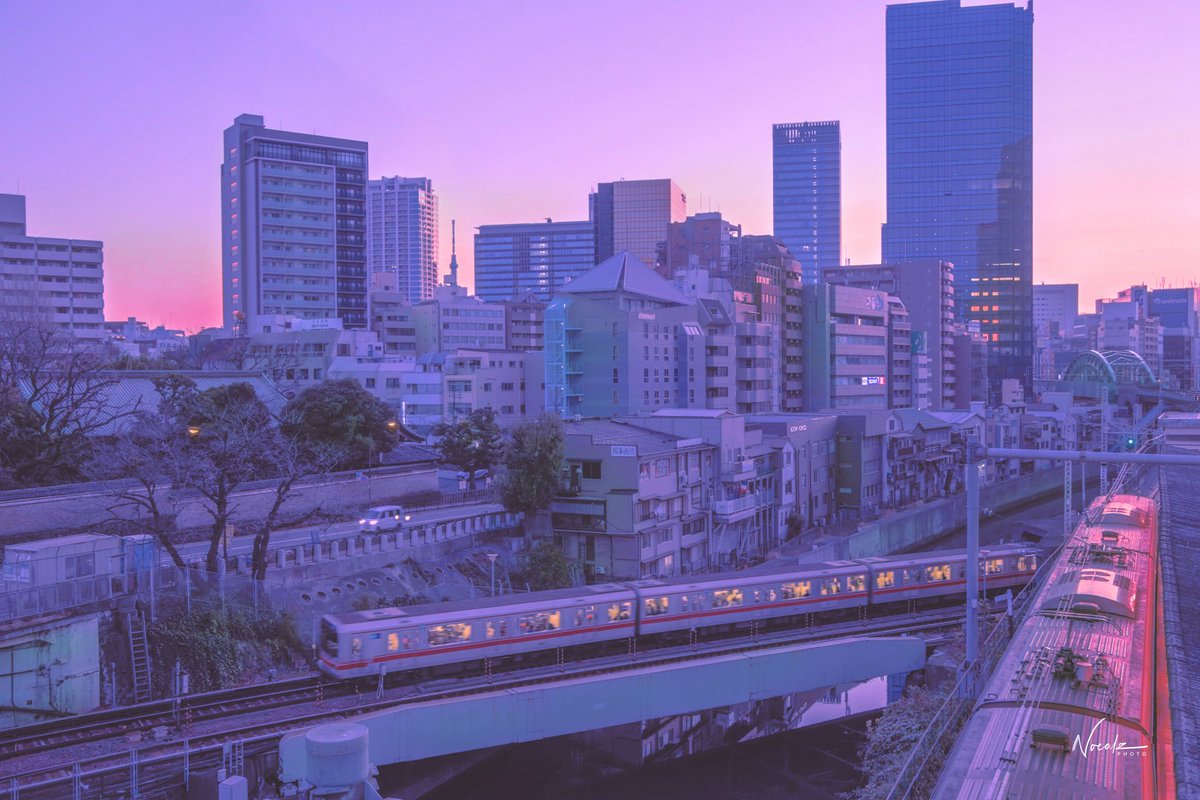 Tokyo in 9 days~

Also please interact with this post, I wonder how much the algorithm has improved : )