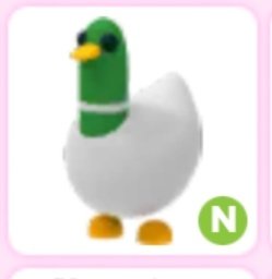 Neon silly duck giveaway ✨ 😍 💚 ❤ 💙 

Rules:
 ~`°•Follow <a href="/LuvqAlisha/">Alishaaa 🦤 🐬 🧊 🐼</a> <a href="/sxleepysxheep/">angel</a>~'°•
Like and rt
Comment "Done"

Extras in thread ^^