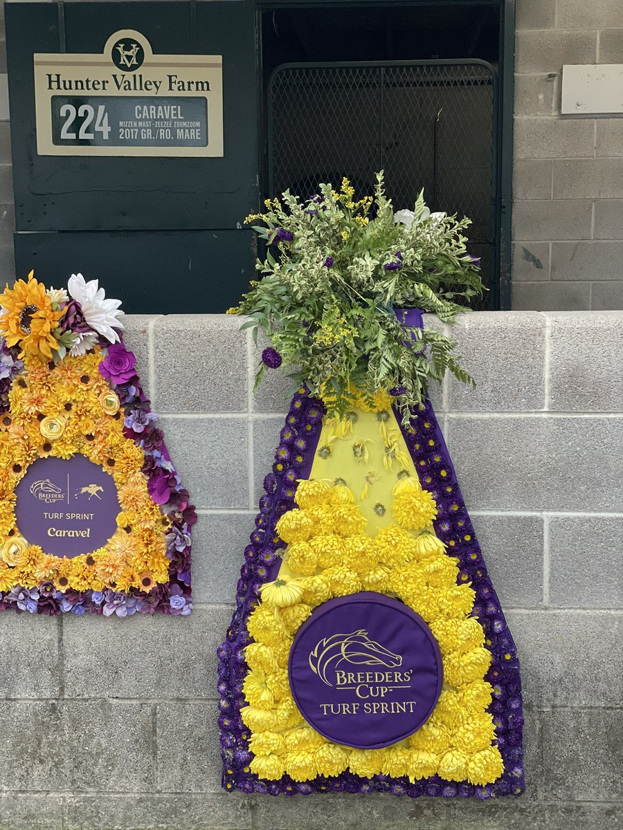AntoinDeLeis's tweet photo. We @keenelandsales are proud to welcome Caravel to Barn 1 @HunterValleyKY this morning fresh off her incredible win in the @BreedersCup #TurfSprint here @keeneland yesterday. #Champion @Qatar_Racing @Fergalvin @adrianregan2 @Tweenhills https://t.co/ZmMaQjXBsH