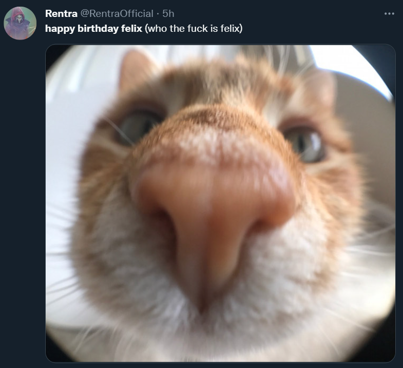 happy birthday felix trending and so many people not even knowing who felix is but still wishing him a happy birthday is so funny to me 😭