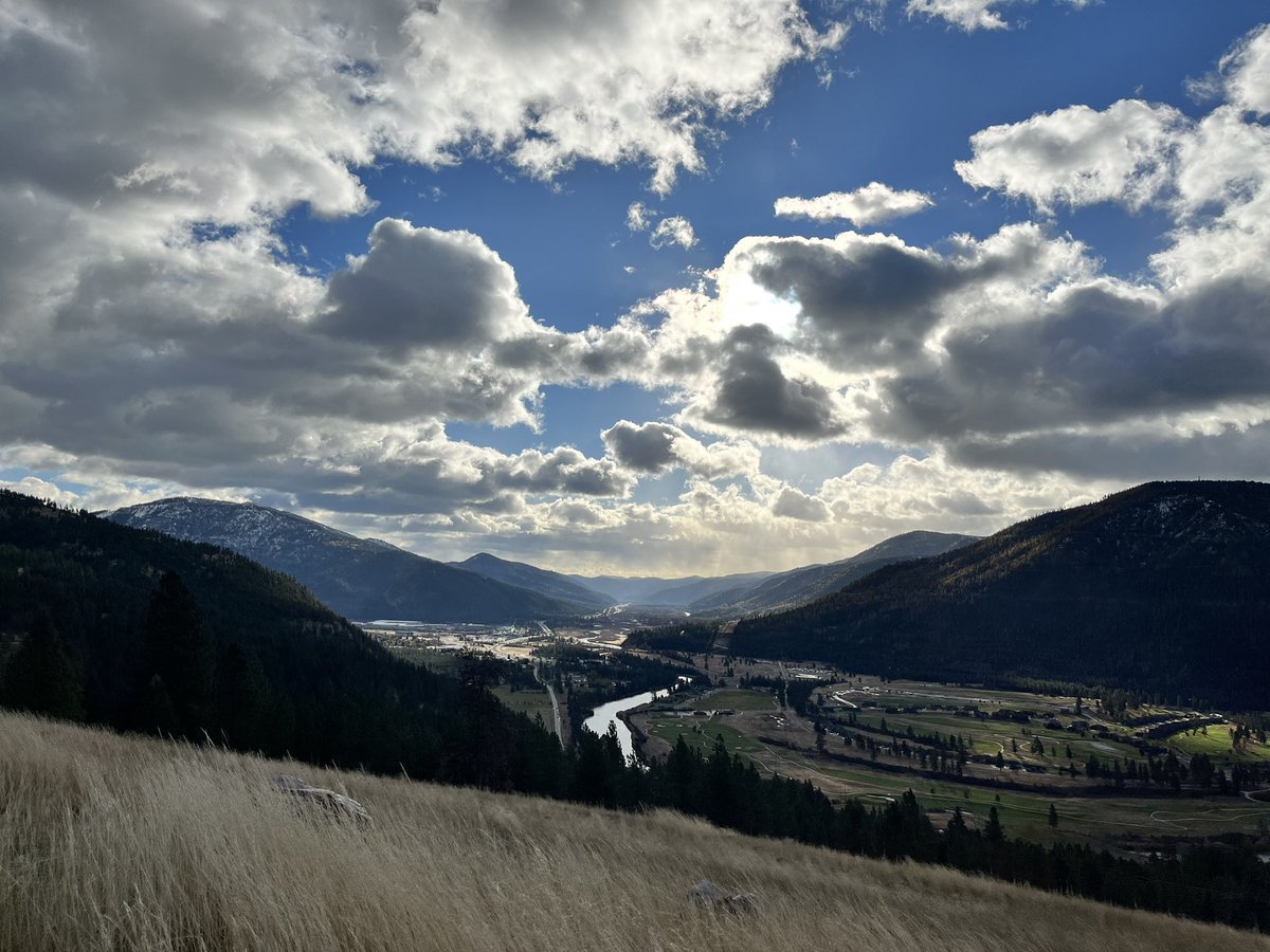 Katie O'Reilly tweet media