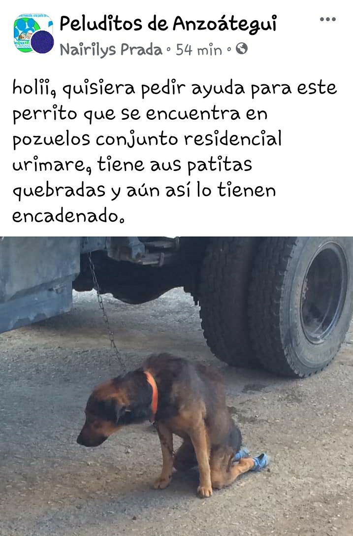#REPORTAN #URGENTE #PuertoLaCruz #Pozuelos #Anzoategui