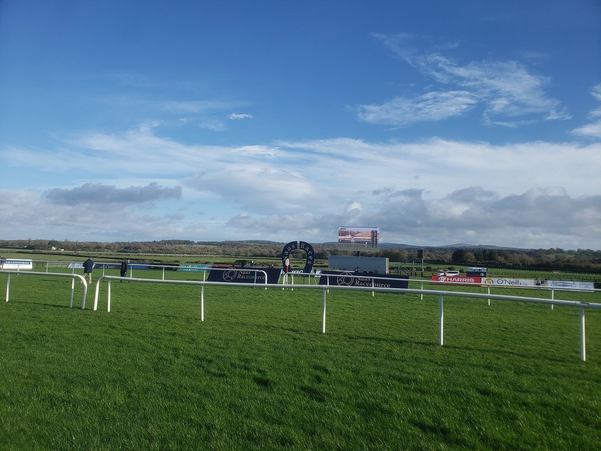 ShortCall's tweet image. Glorious day @NaasRacecourse and fantastic to see a huge crowd too, for finale of flat season.