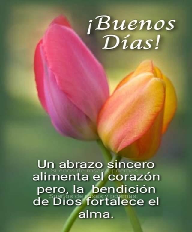 Amén, buen día a tod@s