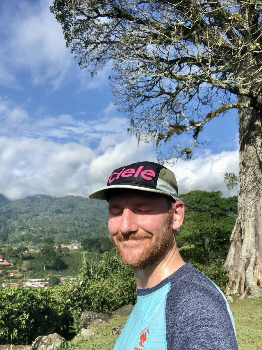 Treeline Journal tweet media