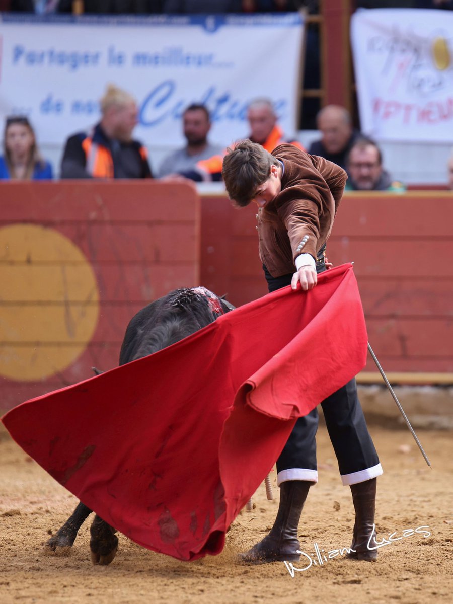 Burladero tweet media