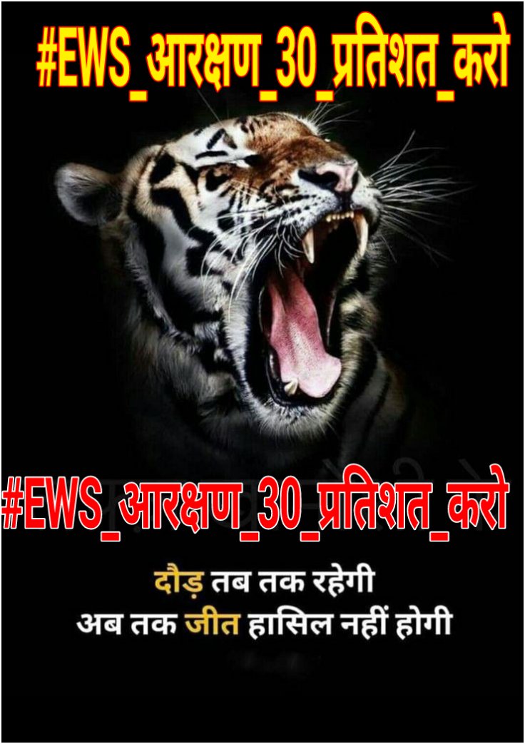 Shubhamnangal's tweet photo. I Support This Trend 
#EWS_आरक्षण_30_प्रतिशत_करो
Retweet Maximum And Support💪 https://t.co/q4TiSAESbc