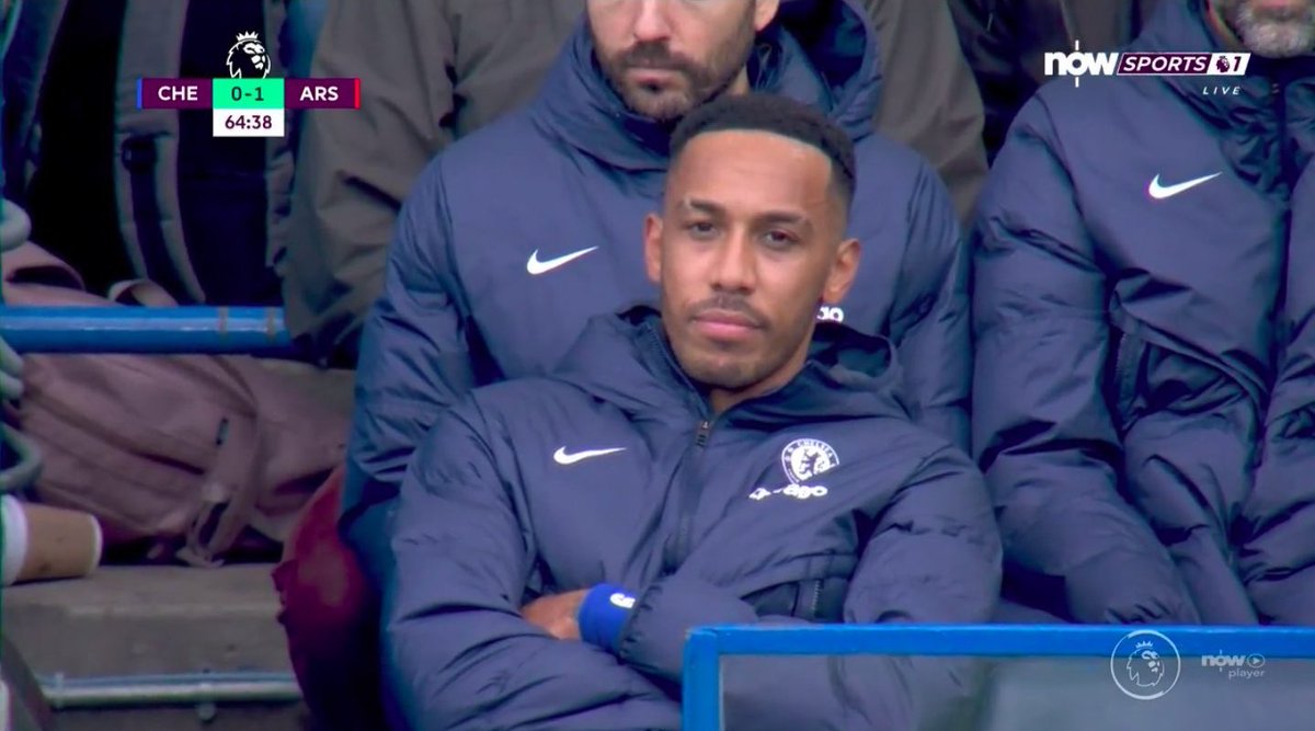 Genuinely love this pic so much, COYG