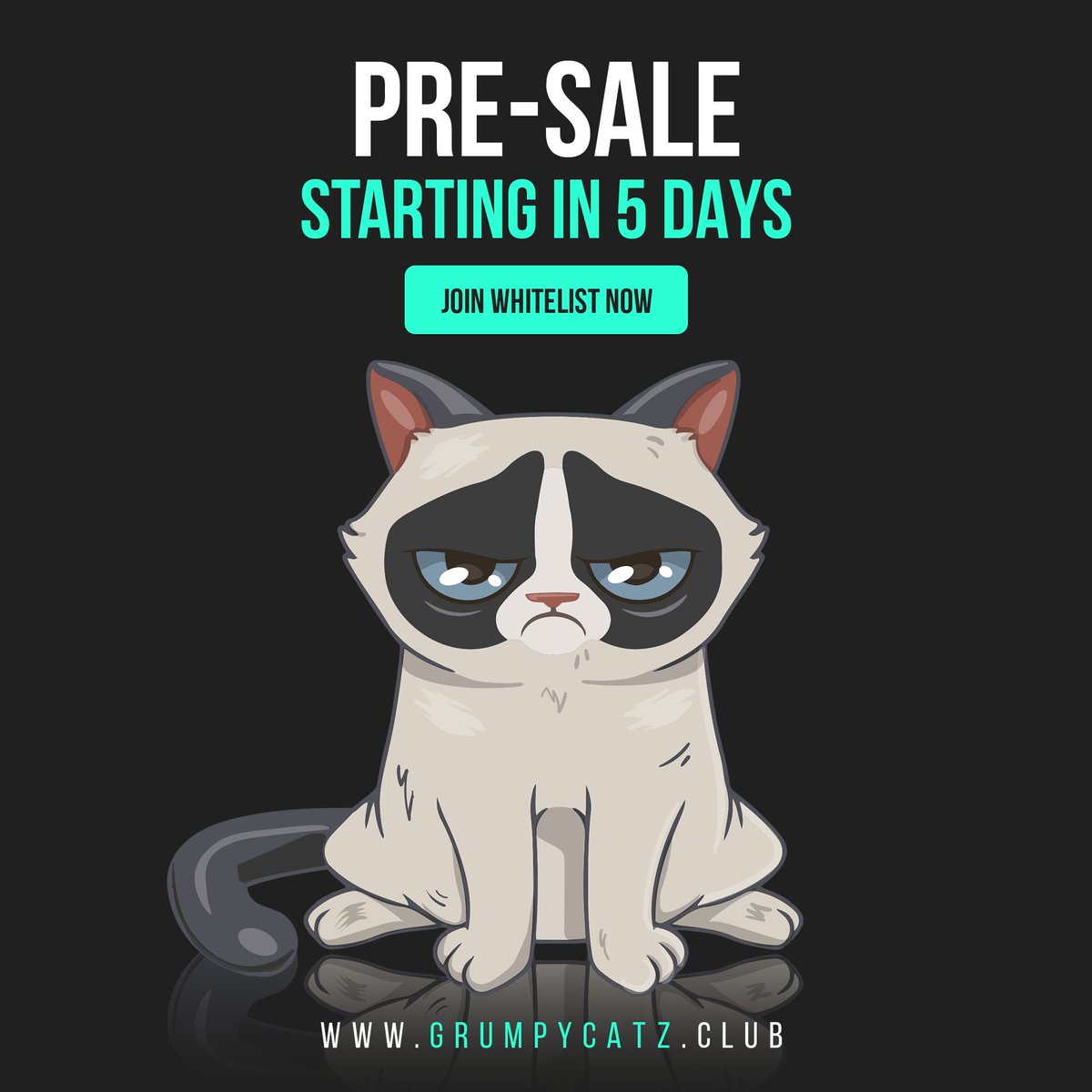 Grumpycatznftclub tweet media