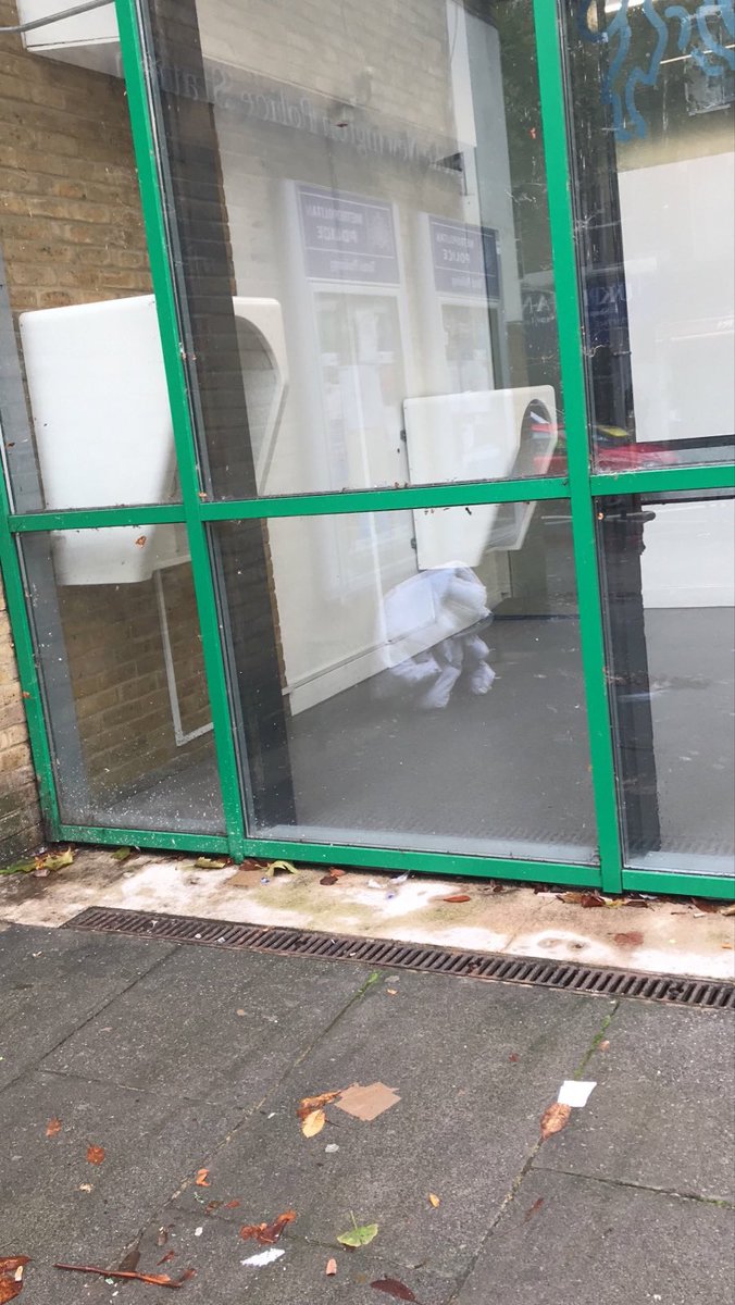 You mean these? Are you for real?