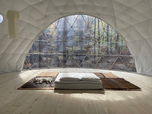 PacificDomes's tweet photo. Simplicity by Casey Shroeder, Hillsdale, New York.
36 ft. (11m) private dome
#dome #domekit #geodome https://t.co/lF5N1lxBdL