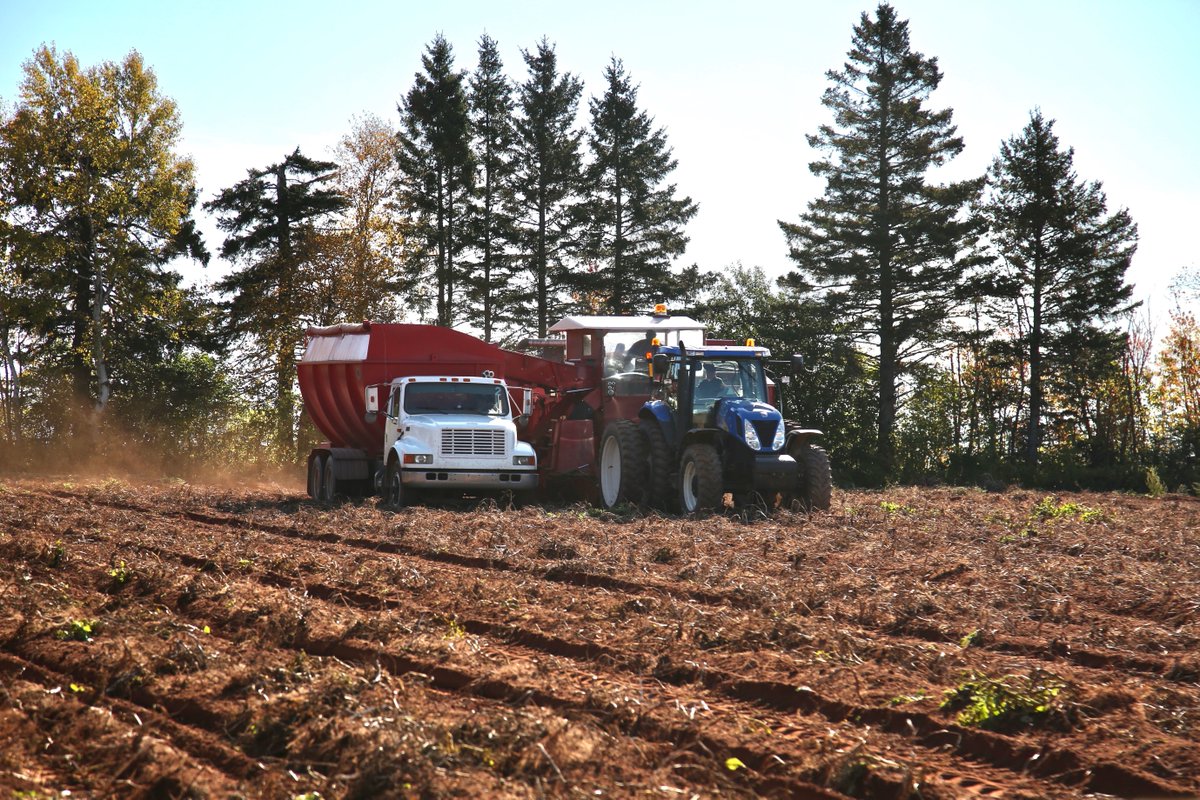 As the potato harvest season comes to a close, we want to send out a huge thanks to all the farmers out there for their hard work this season. We wouldn’t have another delicious crop of PEI Potatoes without your passion and dedicated work! 🚜🥔