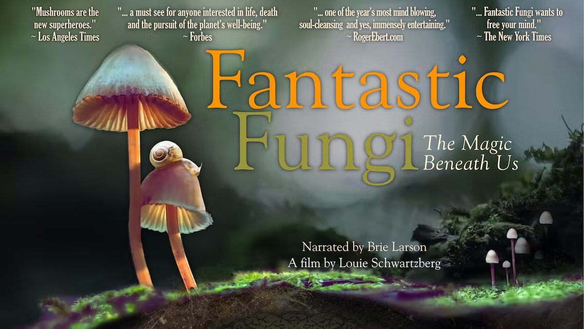 BHWP is in partnership with <a href="/NewtownTheatre/">Newtown Theatre</a> for this showing of Fantastic Fungi! Please mark you calendars for Tuesday, Nov. 15, 7:30 to 9:30 PM. 

Buy your tickets here: thenewtowntheatre.com/events/2022/11…