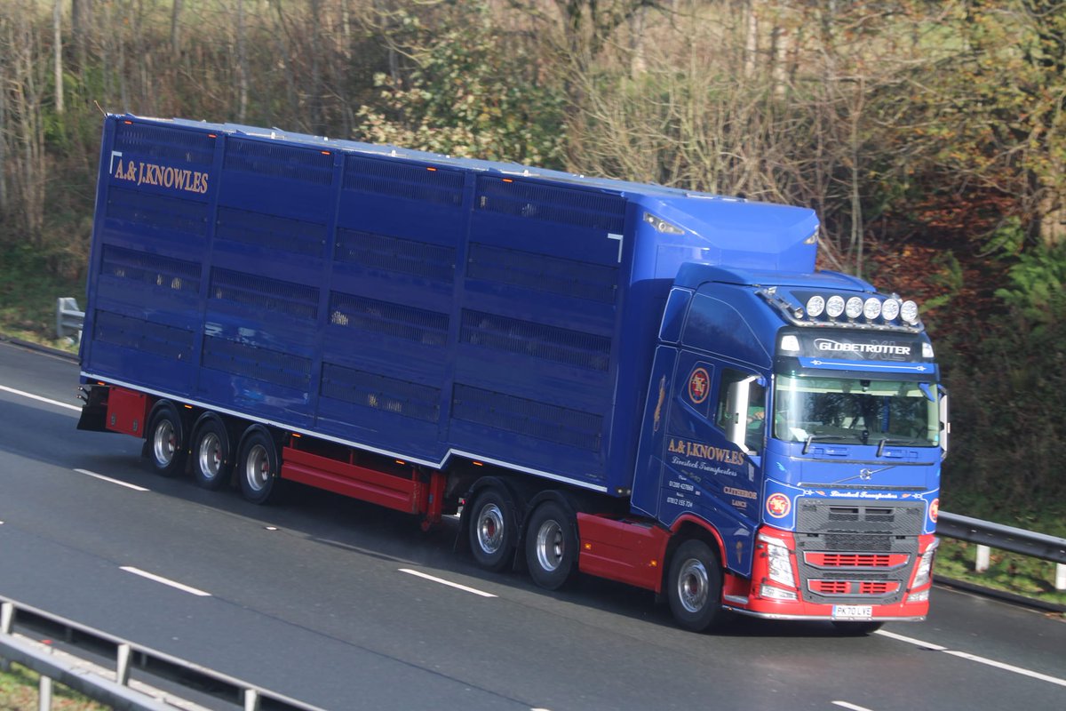 A &amp; J Knowles' Platinum 4 Deck Livestock Transporter spotted on the #M6 southbound in south Cumbria.

📷by Thomas Salkeld

#houghtonparkhouse #livestock #livestocktransport #livestockhaulage #livestocktrailer #livestocktransportation #truckphotography <a href="/VolvoTrucksUK/">Volvo Trucks UK</a>
