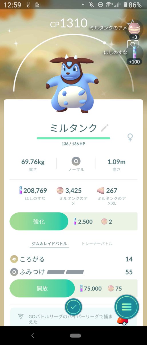 ノクタス色違いエラー Www Taleteweb It