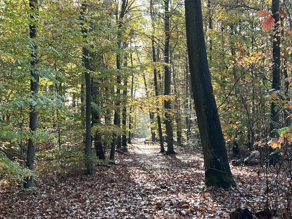 Alexander Kluge tweet media