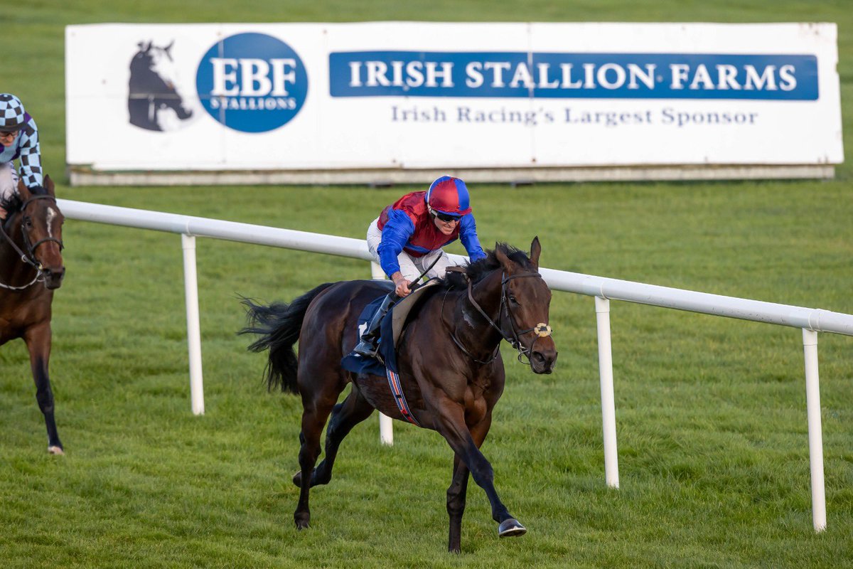 NaasRacecourse's tweet photo. 🥇 Champion trainer Aidan O’Brien wins the 4th race 🥇
✨𝐒𝐢𝐞𝐫𝐫𝐚 𝐁𝐥𝐚𝐧𝐜𝐚✨
Under Seamus Heffernan in the @IrishEBF_ Maidan
Congratulations to all involved
#flatfinale https://t.co/yRPfaCvdYn
