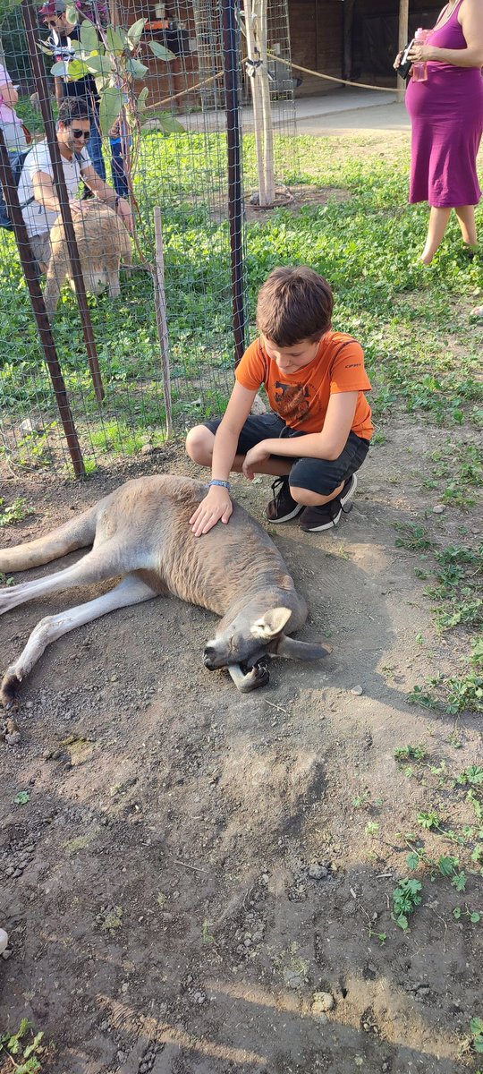 Владимир tweet media