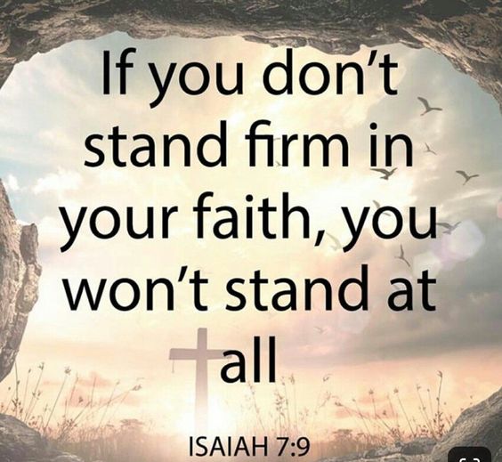 BuddieLee2's tweet image. 