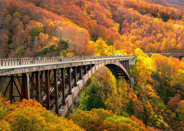 JapanBackpacker photo