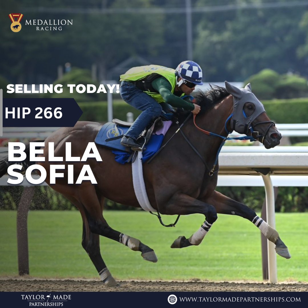 ⚠️Selling TODAY at <a href="/FasigTiptonCo/">Fasig-Tipton</a>! You didn't want to miss out on this one! 

Hip #266, BELLA SOFIA🤩 <a href="/pshelton8/">Phillip Shelton</a> 

Pedigree: fasigtipton.com/catalogs/2022/…
PP: fasigtipton.com/catalogs/2022/…
Walking Video:youtu.be/IOpAiBRdvaw