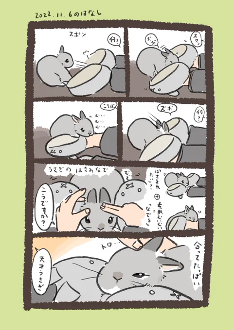 今日のrabbit…
ついに二語文をマスターしたようです✍️

#うさぎのいる生活 
