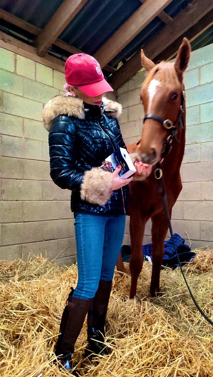 Coming home empty handed but as they say what’s for you won’t go by you. 
Loved  getting to meet Smiling Eliza’s first foal wishing the owners the very best of luck with him 🍀 🏇🏼❤️

#tattersallsireland